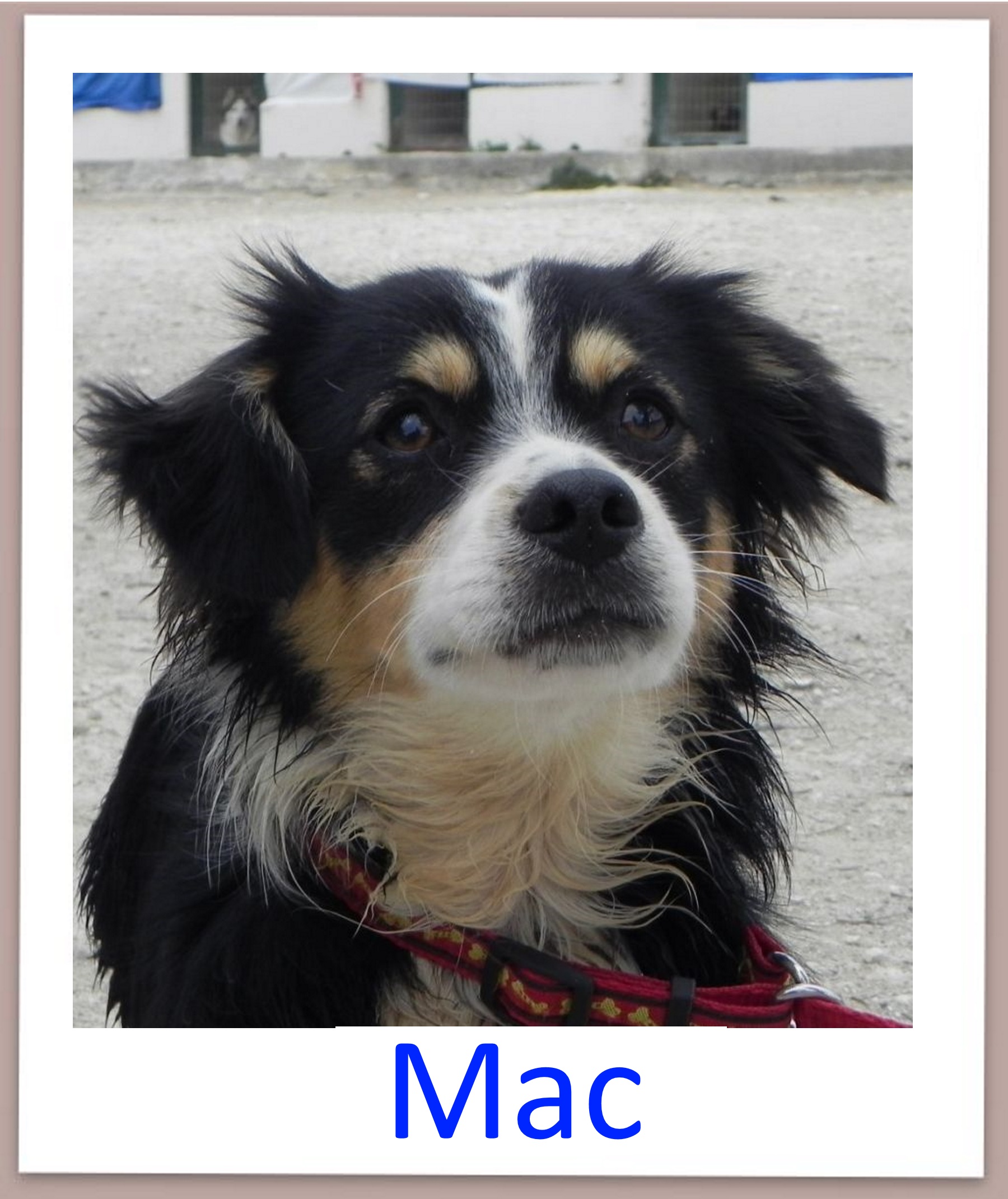Mac profil