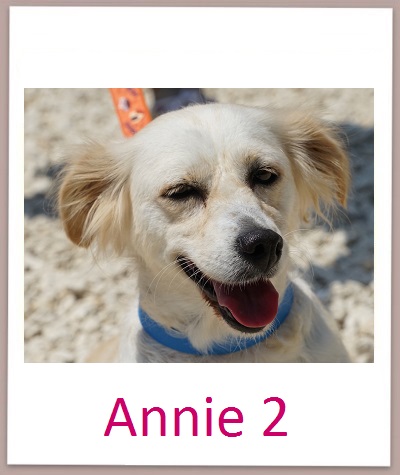 Annie2 prof