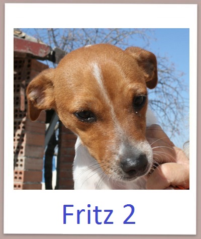 Fritz2 prof