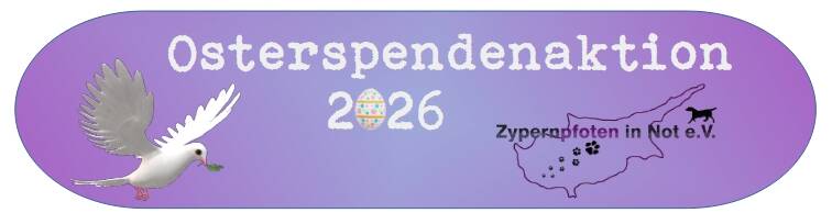 Xmas Aktion 2022 Überschrift N